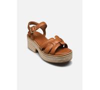 Clarks Shoes Coledale Strap Sandals Marron EU 40 Femme