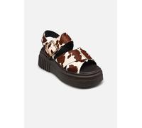 Sandales et nu-pieds Clarks Evamar Wish pour Femme 37 Blanc