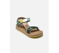 Sandales et nu-pieds D Franklin FOREST pour Femme 41 Vert