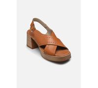 Sandales et nu-pieds Dorking DIAMOND D9333 pour Femme 41 Marron