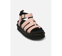 Dr. Martens Sandales femme Blaire Powder Pink Athena Rose Taille 38