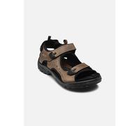ECCO Offroad - Homme - - taille 46- modèle 2024