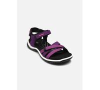 Sandales et nu-pieds Ecco Offroad Roam Lea/Tex pour Femme 38 Violet
