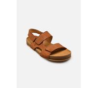 Sandales et nu-pieds El Naturalista HORIZON N6003 pour 36 Marron