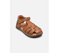 Sandales et nu-pieds Froddo Daros C pour 29 Marron