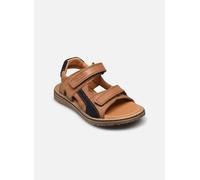 Sandales et nu-pieds Froddo Daros Double pour Enfant 25 Marron
