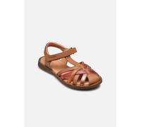 Sandales et nu-pieds Froddo Lore Rosa pour 30 Marron