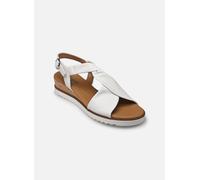 Sandales et nu-pieds Gabor 62.751 pour 42 Blanc