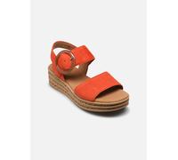 Sandales et nu-pieds Gabor 64.550 pour Femme 36 Orange