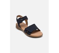 Sandales compensées femmes Gabor LOUISON Bleu 39