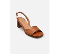 Sandales et nu-pieds Georgia Rose Mimi pour Femme 36 Marron