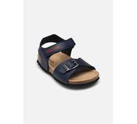Sandales et nu-pieds Geox B Sandal Chalki Boy C pour 26 Bleu