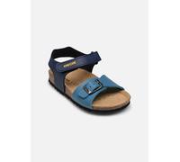 Sandales et nu-pieds Geox B Sandal Chalki Boy C pour Enfant 21 Bleu