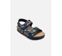 Sandales et nu-pieds Geox B Sandal Chalki Boy pour Enfant 22 Bleu