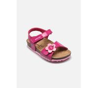Sandales et nu-pieds Geox B sandal chalki girl C pour 20 Rose