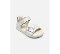 Sandales et nu-pieds Geox B SANDALE ALUL FILLE pour 27 Blanc
