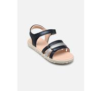 Sandales et nu-pieds Geox J Sandal Haiti Girl J458ZD pour 32 Bleu