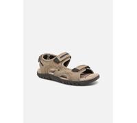 Geox Sandales Homme Strada D Sand/Navy Taille 41 EU
