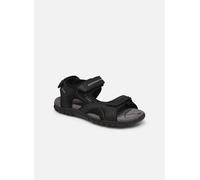 Geox Uomo Strada Sandals Noir EU 45 Homme
