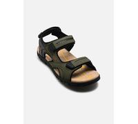Sandales et nu-pieds Geox UOMO SANDAL STRADA D pour Homme 40 Vert