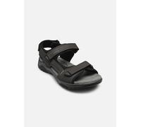 Sandales et nu-pieds Josef Seibel Arlo 02 pour Homme 40 Gris
