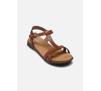 Sandales et nu-pieds Josef Seibel Fabricia 01 pour 41 Marron