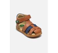 Sandales et nu-pieds Kickers KICK POD pour Enfant 27 Marron