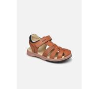 Sandales et nu-pieds Kickers Platinium pour Enfant 33 Marron