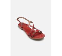 Sandales et nu-pieds Les Tropéziennes par M Belarbi HAMOON pour Femme 36 Rouge