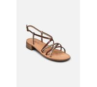 Sandales et nu-pieds Les Tropéziennes par M Belarbi HARRYNA pour Femme 39 Marron
