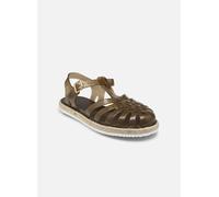 Sandales et nu-pieds Méduse Suncorde pour Femme 36 Marron