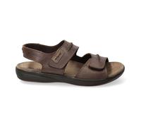 Mephisto Sagun Marron / Homme - 46