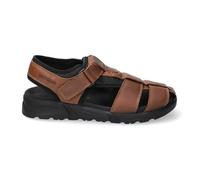 Mephisto Toren Marron / Homme - 45