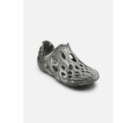 Sandales et nu-pieds Merrell HYDRO MOC pour Homme 42 Violet
