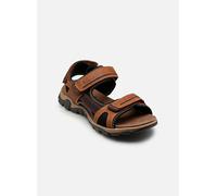 Sandales et nu-pieds Mustang shoes 26M0081001 pour 42 Marron