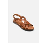 Sandales et nu-pieds Pikolinos Algar W0X-0556St pour Femme 39 Marron