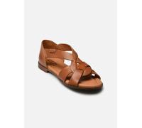 Sandales et nu-pieds Pikolinos ALGAR W0X-0812 pour Femme 38 Marron