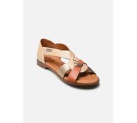 Sandales et nu-pieds Pikolinos ALGAR W0X-0812 pour Femme 39 Multicolore