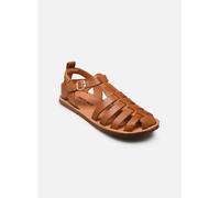 Sandales et nu-pieds Pikolinos BETERA W0F-0934 pour Femme 41 Marron
