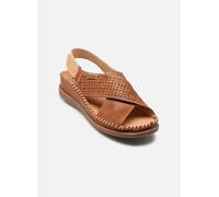 Pikolinos Sandales à semelles compensées CADAQUES en cuir pour femme Brandy