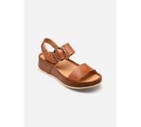 Sandales et nu-pieds Pikolinos MARINA W1C-0709 pour Femme 38 Marron