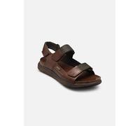 Sandales et nu-pieds Pikolinos NIJAR M0B-0122 pour 41 Marron
