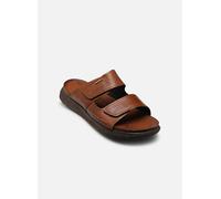 Sandales et nu-pieds Pikolinos NIJAR M0B-0123 pour Homme 40 Marron