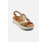 Sandales et nu-pieds Pikolinos PALMA W4N-0650C1 pour 35 Marron