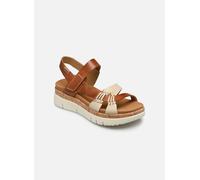Sandales femmes Pikolinos PALMA Marron 40