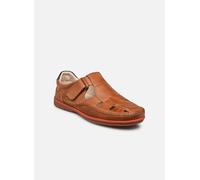 Sandales et nu-pieds Pikolinos Sandales -MARBELLA M9A-0051 pour Homme 45 Marron