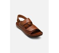 Sandales et nu-pieds Pikolinos TARIFA 06J-0017C1 pour Homme 44 Marron
