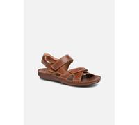 Sandales et nu-pieds Pikolinos Tarifa 06J-5818 pour Homme 40 Marron