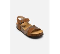 Sandales et nu-pieds Plakton CP Final pour Femme 35 Marron