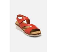 Sandales et nu-pieds Plakton Dina pour Femme 37 Marron